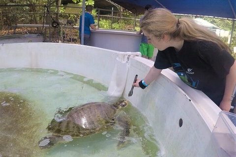 12-Day Great Barrier Reef Marine Conservation Program From Cairns - Southport Accommodation 4