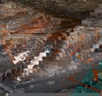 Kakadu National Park Wildlife and Ubirr Rock Art Tour from Darwin City - Accommodation Southport