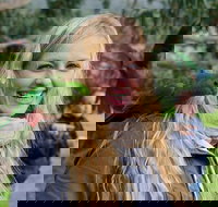 Great Ocean Road Reverse Itinerary with 12 Apostles from Melbourne - Accommodation Southport