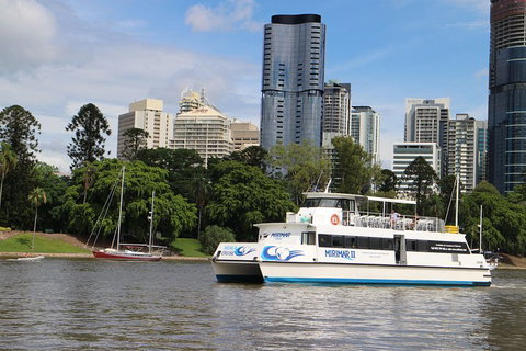Lone Pine Koala Sanctuary Admission With Brisbane River Cruise - Accommodation Southport 2