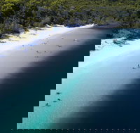 All-Inclusive Fraser Island Day Tour - Accommodation Southport