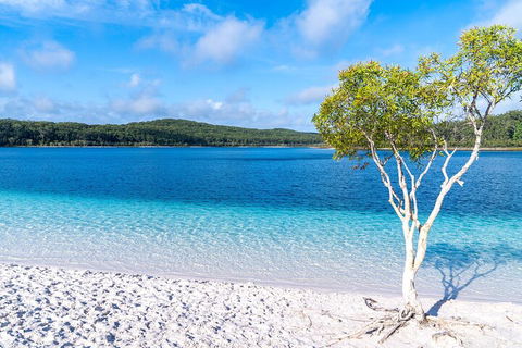 Lake McKenzie Full-Day Tour With Lunch From Hervey Bay - Accommodation Southport 1