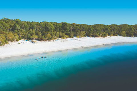 Lake McKenzie Full-Day Tour With Lunch From Hervey Bay - Accommodation Southport 4