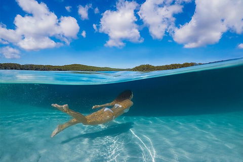 Lake McKenzie Full-Day Tour With Lunch From Hervey Bay - Accommodation Southport 5