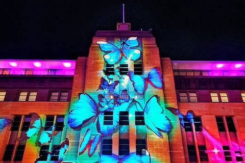 Vivid 90-Minute Sydney Harbour Small Group Catamaran Cruise - Southport Accommodation 0