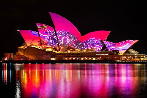 Vivid 90-Minute Sydney Harbour Small Group Catamaran Cruise - Southport Accommodation 1