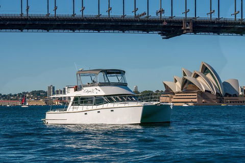 Vivid 90-Minute Sydney Harbour Small Group Catamaran Cruise - Southport Accommodation 2