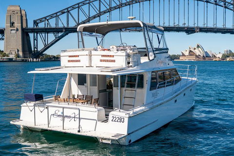 Vivid 90-Minute Sydney Harbour Small Group Catamaran Cruise - Southport Accommodation 4