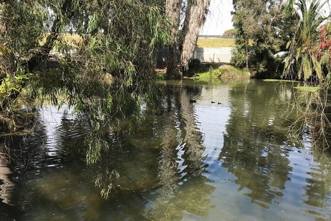 Perth East Foreshore And City Segway Tour - Accommodation Southport 1