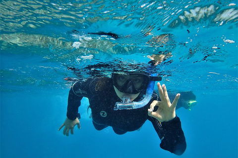 3 Day Whitsundays Sailing And Diving Adventure: Kiana - Southport Accommodation 0