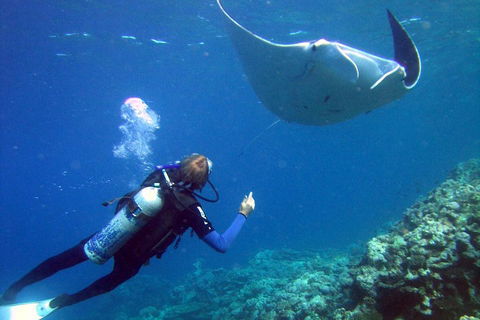 3 Day Whitsundays Sailing And Diving Adventure: Kiana - Southport Accommodation 3
