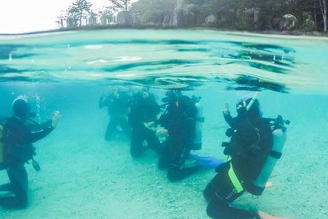 3 Day Whitsundays Sailing And Diving Adventure: Kiana - Southport Accommodation 4