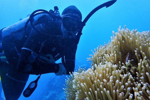 3 Day Whitsundays Sailing And Diving Adventure: Kiana - Southport Accommodation 5