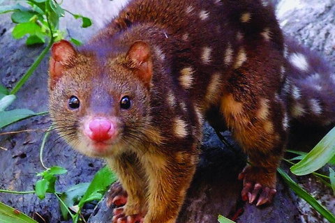 Hartley's Crocodile Adventures General Entry Ticket - Accommodation Southport 4