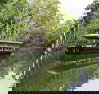 Hartley's Crocodile Adventures Breakfast with the Koalas - Accommodation Southport