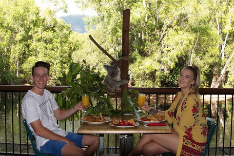 Hartley's Crocodile Adventures Breakfast With The Koalas - Accommodation Southport 5