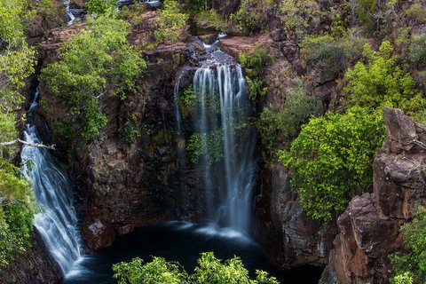 Litchfield National Park - Top End Day Tour From Darwin - Accommodation Southport 2