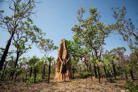 Litchfield National Park - Top End Day Tour From Darwin - Accommodation Southport 5