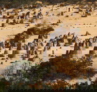 Pinnacles Sunset Dinner and Stargazing Experience a Small Group Tour - Accommodation Southport