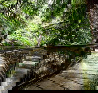 12 Apostles Eco-Friendly Great Ocean Road Iconic Adventure from Melbourne - Accommodation Southport