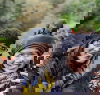 Small-Group Great Ocean Road and 12 Apostles Full-Day Tour from Melbourne - Accommodation Southport