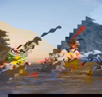 Kangaroo Island Self-Guided Kayaking on the Harriet River - Accommodation Southport