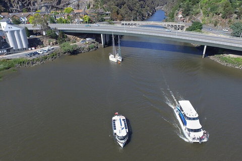 2.5 Hour Afternoon Discovery Cruise Including Cataract Gorge Departs At 1: 30 Pm - Accommodation Southport 5