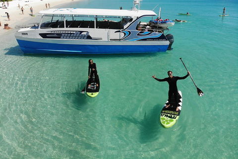 Whitsunday Bullet Day Trip - Whitehaven Beach And Snorkelling - Southport Accommodation 4