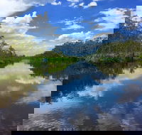 Noosa Everglades Serenity Cruise  Highlights Tour Inc. Lunch  Cruise - Accommodation Southport