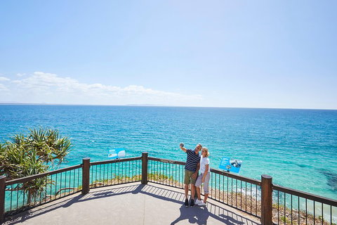 Noosa Everglades Serenity Cruise & Highlights Tour Inc. Lunch & Cruise - Accommodation Southport 3