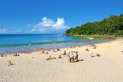 Noosa Everglades Serenity Cruise & Highlights Tour Inc. Lunch & Cruise - Accommodation Southport 4