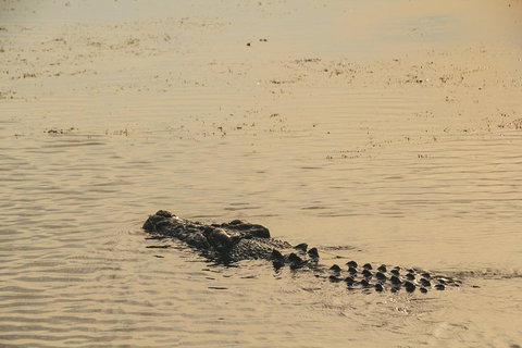 Yellow Water Cruise - Kakadu - Accommodation Southport 2