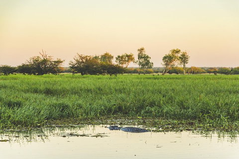 Yellow Water Cruise - Kakadu - Accommodation Southport 3