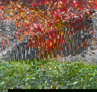 Margaret River Private Tour - Accommodation Southport