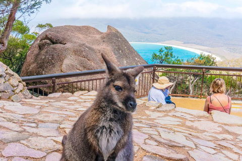 Wineglass Bay & Freycinet NP Full Day Tour From Hobart Via Richmond Village - Southport Accommodation 0