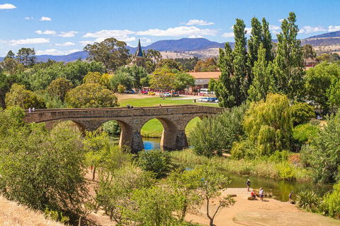 Wineglass Bay & Freycinet NP Full Day Tour From Hobart Via Richmond Village - Southport Accommodation 4