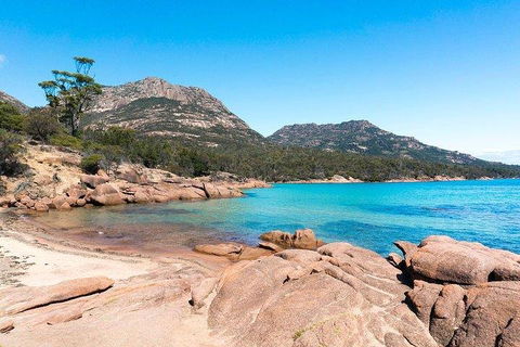 Wineglass Bay & Freycinet NP Full Day Tour From Hobart Via Richmond Village - Southport Accommodation 5