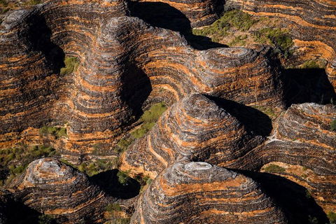 Bungle Bungle Scenic Flights, Domes & Cathedral Gorge Walk - Southport Accommodation 4