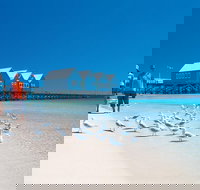 Margaret River and Geographe Bay Region Day Trip from Perth - Accommodation Southport