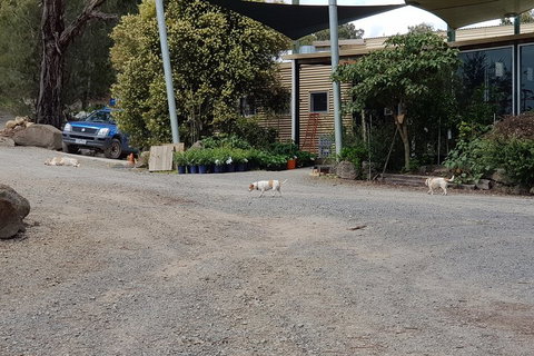 Yarra Valley Wineries And Rayners Orchard Tour From Melbourne - Accommodation Southport 0