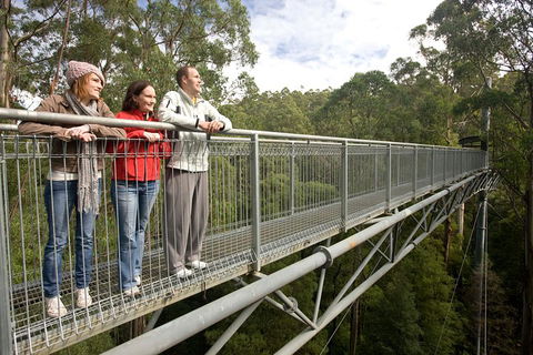 Adventure Sunset Three Day Great Ocean Road Tour - Southport Accommodation 0