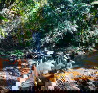 Aquaduck  Your choice of Gold Coast Rainforest Tour - Southport Accommodation