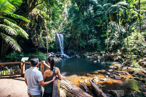 Aquaduck & Your Choice Of Gold Coast Rainforest Tour - Southport Accommodation 0