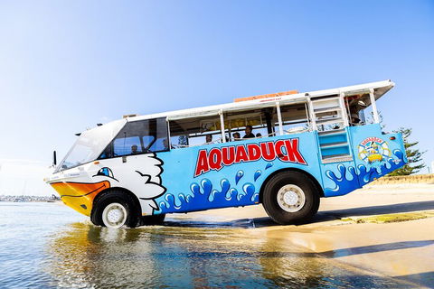 Aquaduck & Your Choice Of Gold Coast Rainforest Tour - Southport Accommodation 3