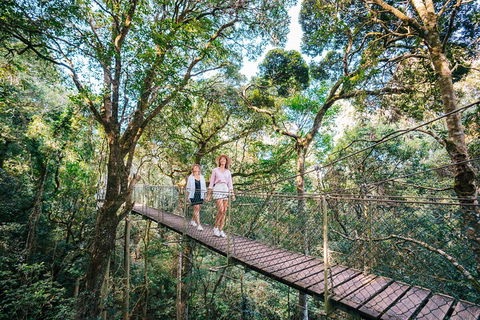 Aquaduck & Your Choice Of Gold Coast Rainforest Tour - Southport Accommodation 4