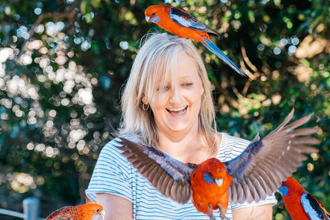 Aquaduck & Your Choice Of Gold Coast Rainforest Tour - Southport Accommodation 5