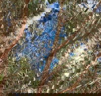 Kangaroo Island 4WD Tour - Best of KI in 2 Days - Accommodation Southport