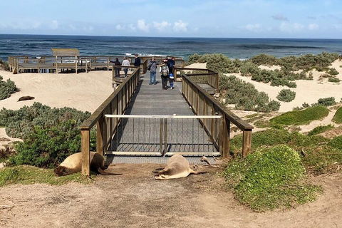 Kangaroo Island 4WD Tour - Best Of KI - Southport Accommodation 2