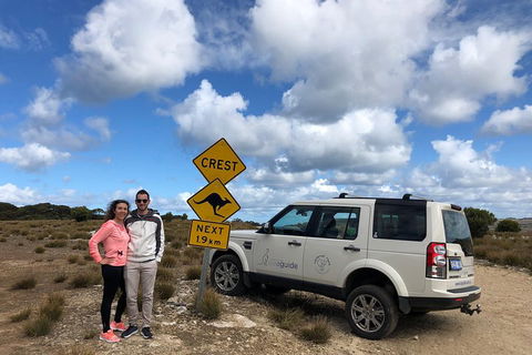 Kangaroo Island 4WD Tour - Best Of KI - Southport Accommodation 5