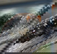 Sunset Experience - Southport Accommodation